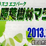 回綾・照葉樹林マラソン2013　日本が世界に誇れる綾町